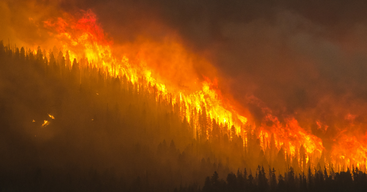 Gentai Capital raises over $1,400 to support BC’s wildfire relief efforts